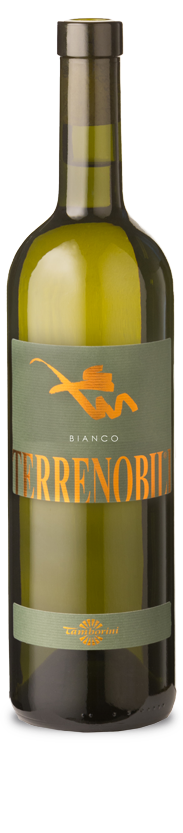 TerreNobili bianco Bianco Svizzera Italiana Igt