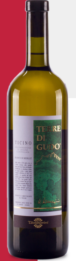 Terre di Gudo - Hotelwein