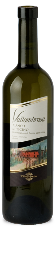 Vallombrosa bianco Bianco Ticino Doc