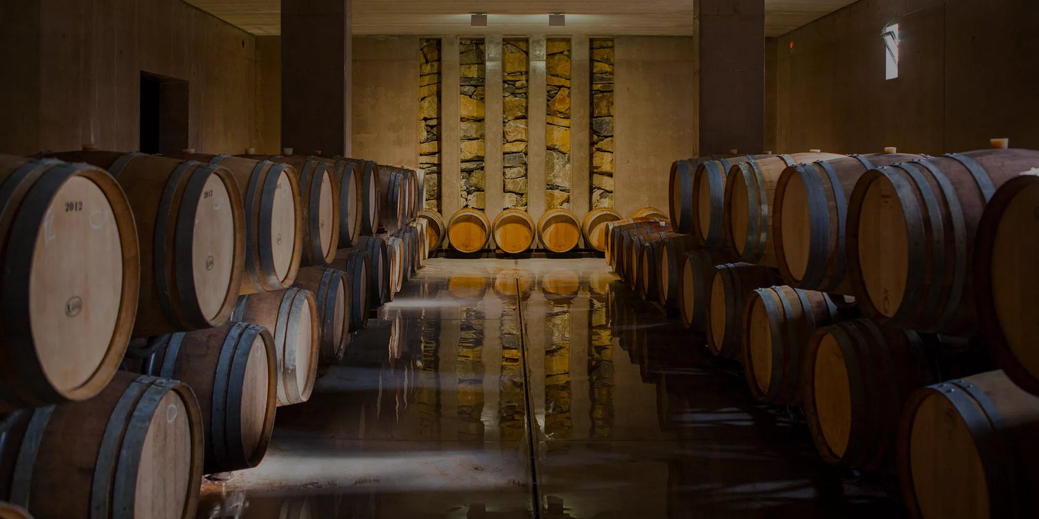 AZIENDA AGRICOLA CHIAPPINI, Bolgheri (Livorno) IT