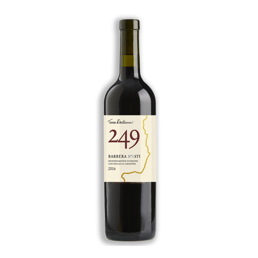 Barbera 249 Nizza DOCG 2020 – Coppo – 0,75 l - Hotelwein