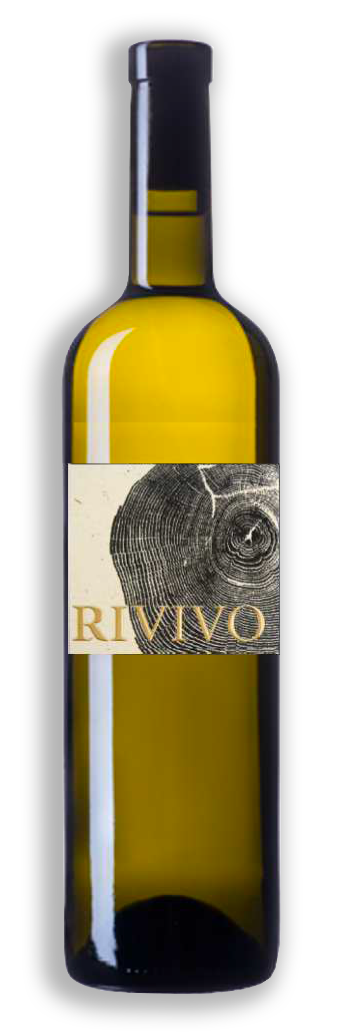 Rivivo bianco, Terre d'autunno