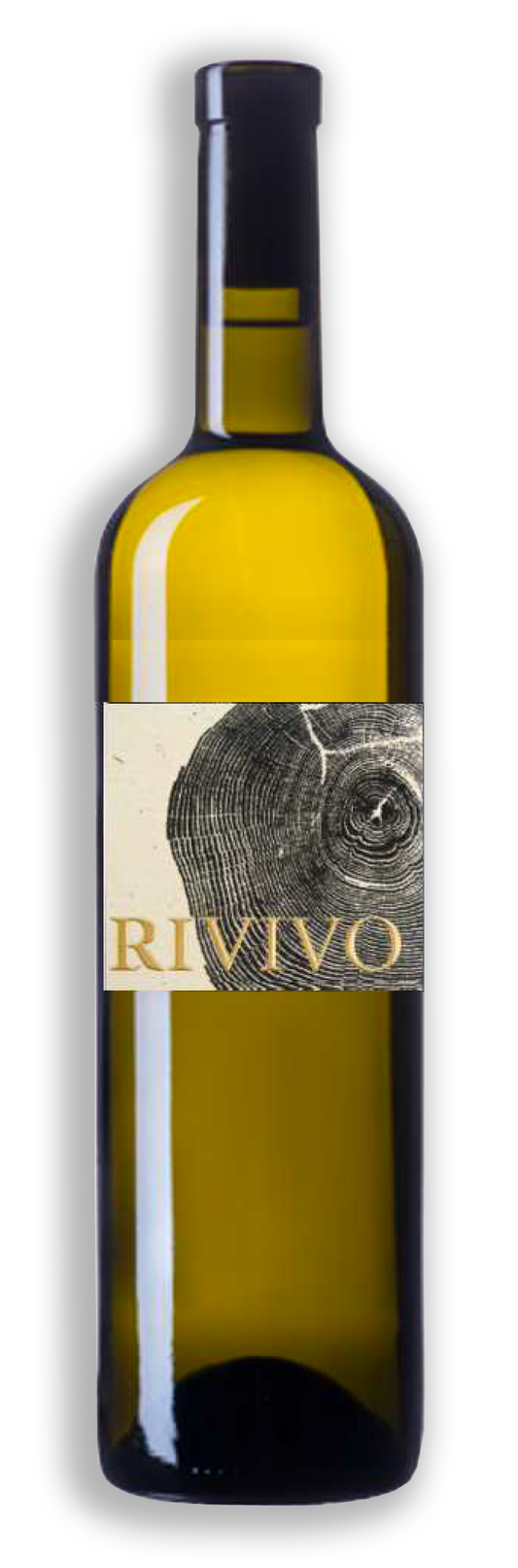 Rivivo bianco, Terre d'autunno