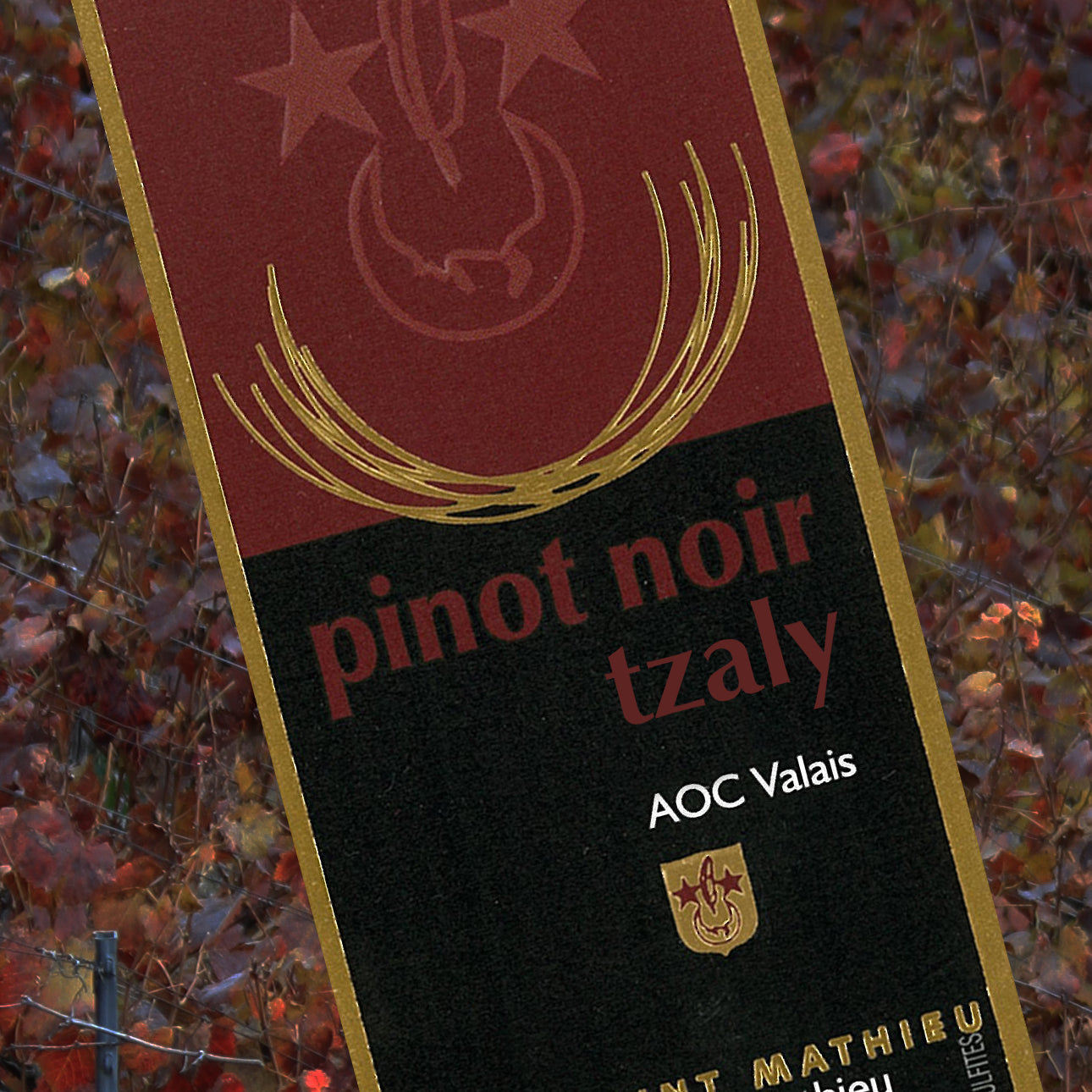 Pinot Noir Tzaly AOC Valais, Jean Louis Mathieu Sierre