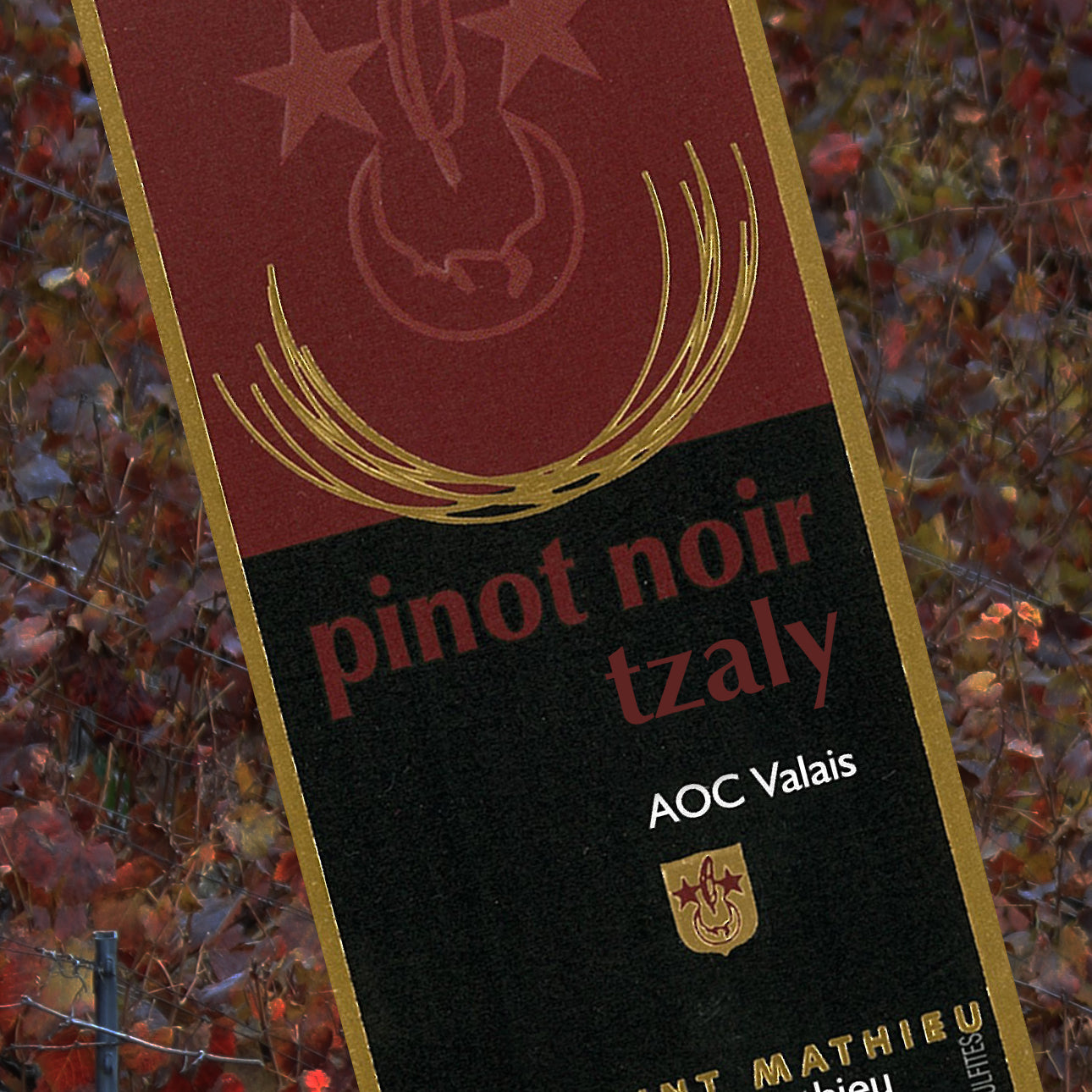 Pinot Noir Tzaly AOC Valais, Jean Louis Mathieu Sierre - Hotelwein