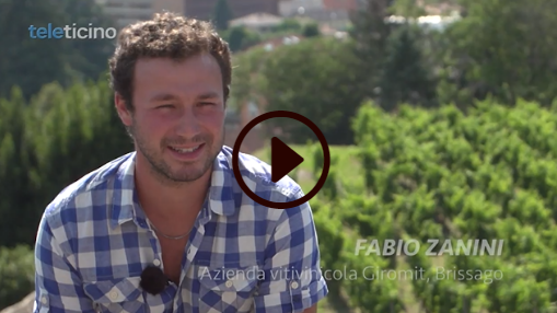 6 vini di Fabio Zanini con 18% di sconto