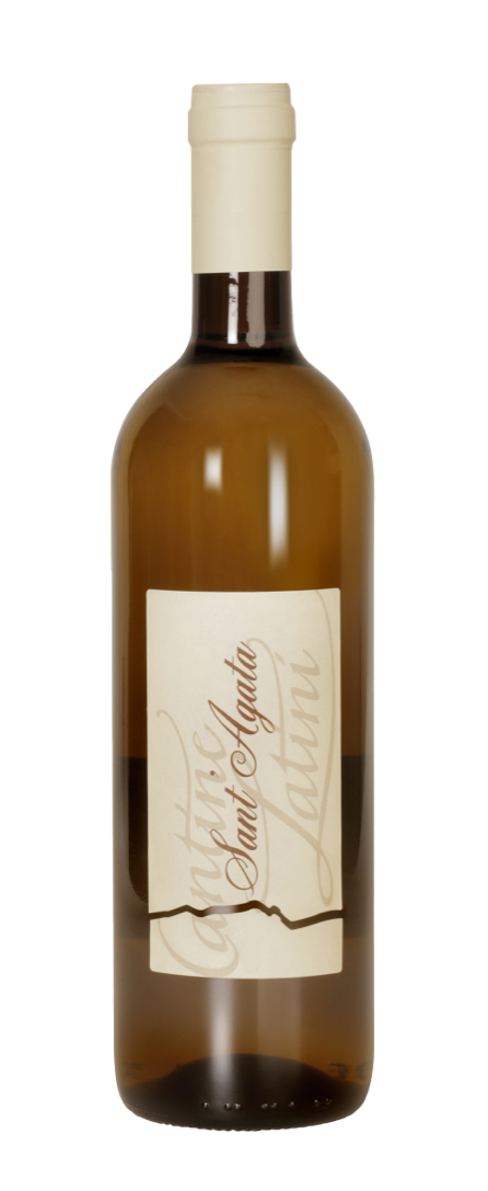 SANT'AGATA, bianco DOC e Igt - Chasselas/Müller/Thurgau - Hotelwein