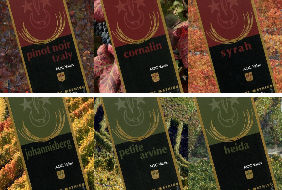 Découvertes et Degustation, AOC Valais, Jean Louis Mathieu Sierre, carton à 6 bouteilles - Hotelwein