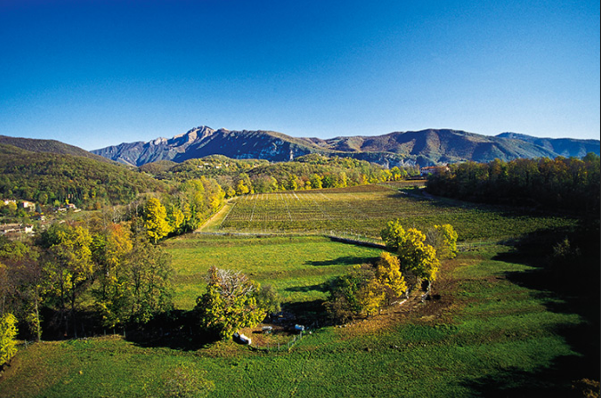 Prioria della Torre Anfora - Hotelwein